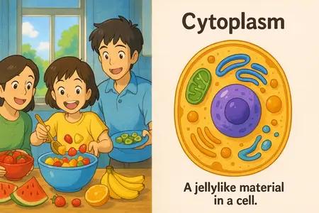 Cytoplasm Meaning