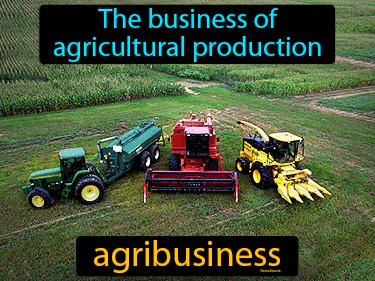 Agribusiness Meaning
