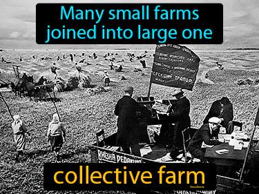 Collective Farm Meaning