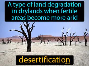 Desertification Meaning