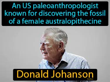 Donald Johanson Meaning