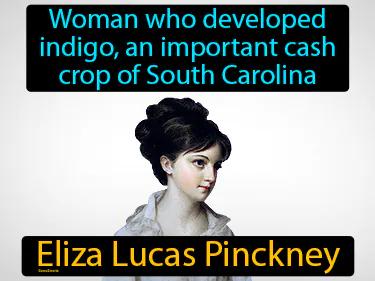 Eliza Lucas Pinckney Meaning