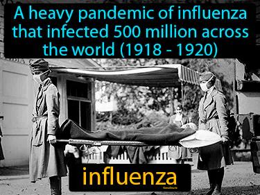 Influenza Meaning