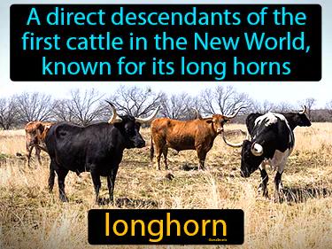 Longhorn Meaning