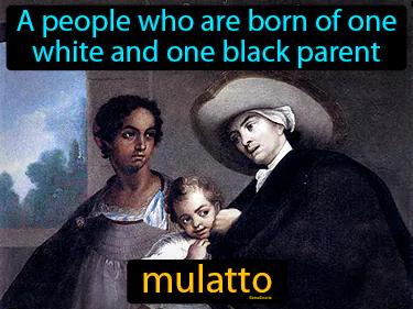 Mulatto Meaning