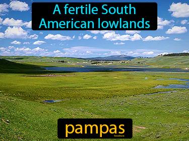 Pampas Meaning