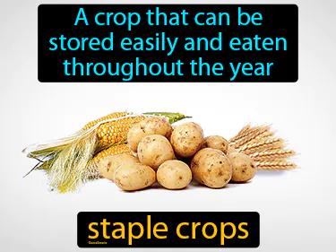 Staple Crops Meaning