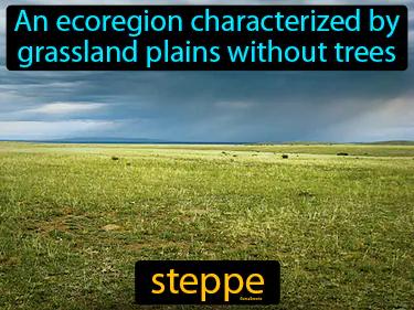 Steppe Meaning