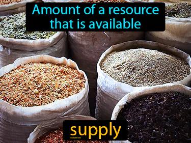 Supply Meaning