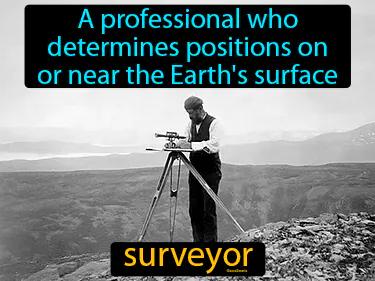 Surveyor Meaning