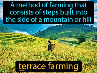 Terrace Farming Meaning