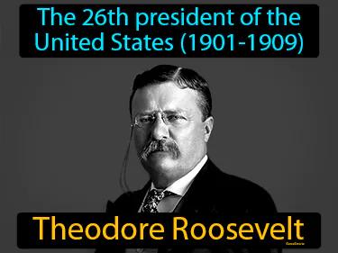 Theodore Roosevelt Meaning