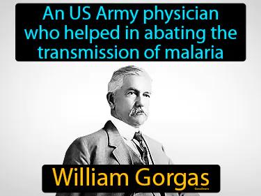 William Gorgas Meaning