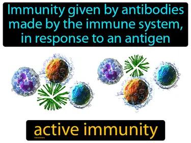 Active Immunity Meaning