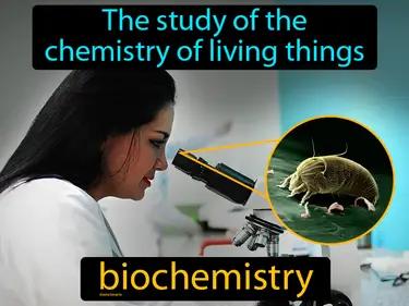 Biochemistry Meaning