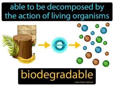 Biodegradable Meaning