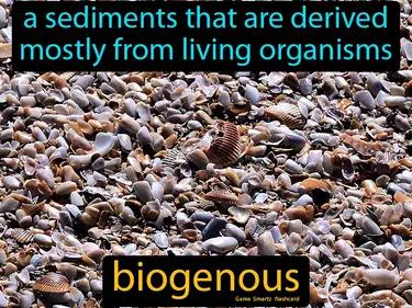 Biogenous Meaning
