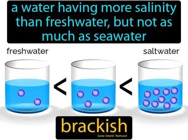 Brackish Meaning