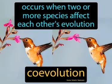 Coevolution Meaning