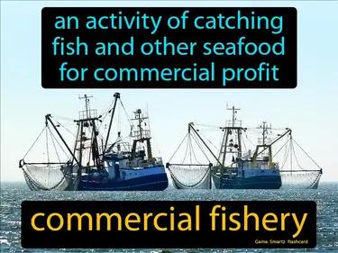 Commercial Fishery Meaning