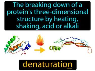 Denaturation Meaning