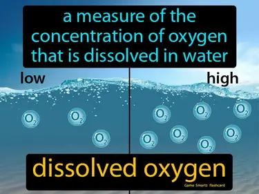 Dissolved Oxygen Meaning