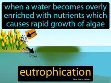 Eutrophication Meaning