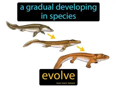 Evolve Meaning