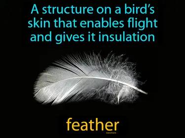 Feather Meaning