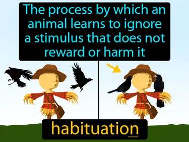 Habituation Meaning