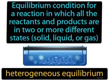 Heterogeneous Equilibrium Meaning