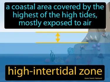 High-intertidal Zone Meaning