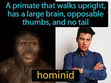 Hominid Meaning