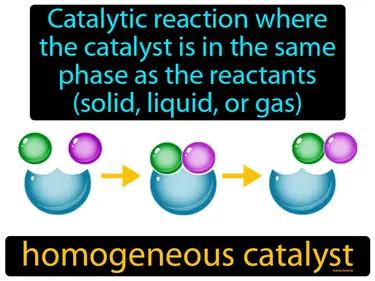 Homogeneous Catalyst Meaning