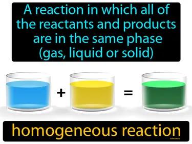 Homogeneous Reaction Meaning