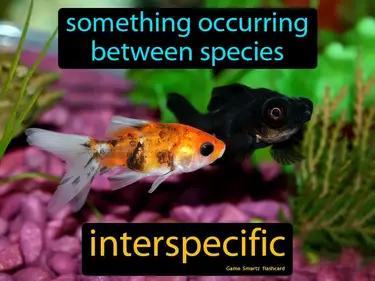 Interspecific Meaning