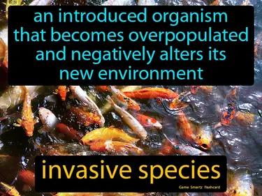 Invasive Species Meaning