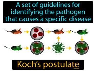 Kochs Postulate Meaning