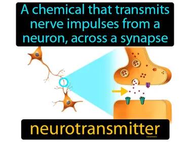 Neurotransmitter Meaning