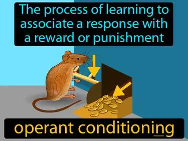 Operant Conditioning Meaning