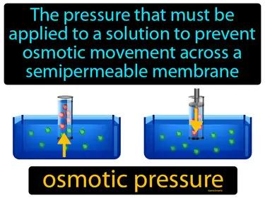 Osmotic Pressure Meaning