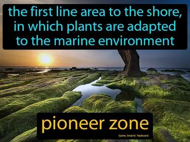 Pioneer Zone Meaning