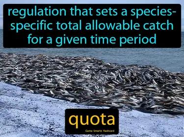 Quota Meaning