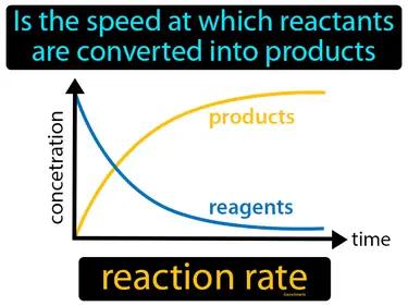 Reaction Rate Meaning