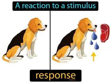 Response Meaning