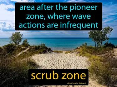 Scrub Zone Meaning