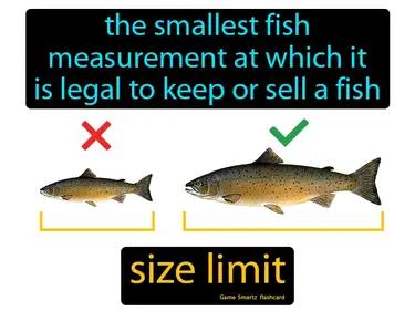 Size Limit Meaning