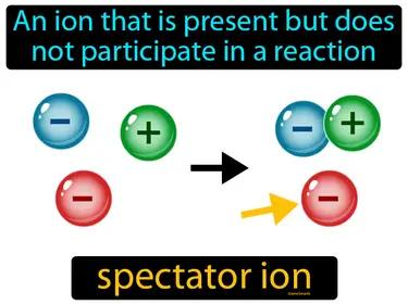 Spectator Ion Meaning