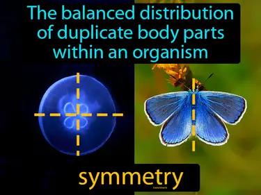 Symmetry Meaning