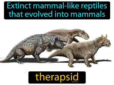 Therapsid Meaning